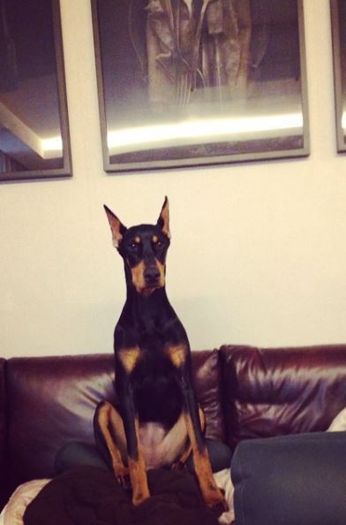 ac09a1025ea919e6b1d0bf4653c30d8e2dc58c69