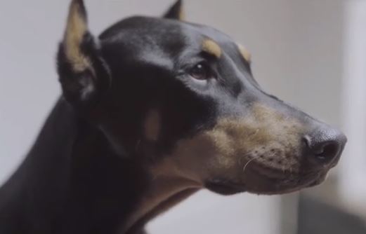 ae96b7b0abe6dc9127311d0a374b98c07365e96c