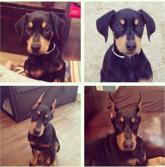 d80ab240825f6a37b5799e217c48ddcbaa0f1fbc