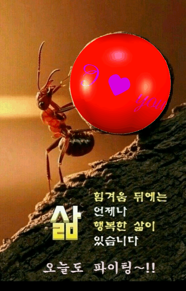 카페 프로필 이미지