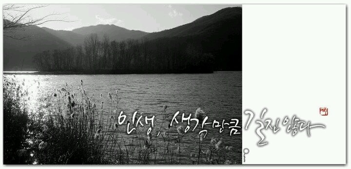 니아 이미지