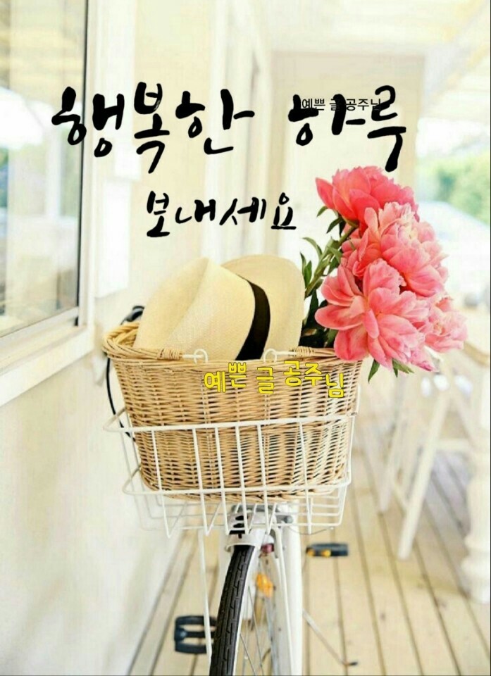 해피스톤 이미지