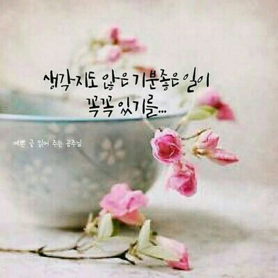 썬다방 이미지