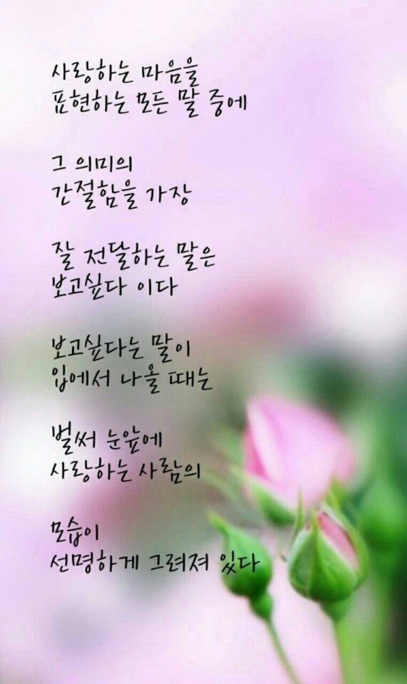 쎈스 이미지