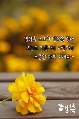 썬다방 이미지