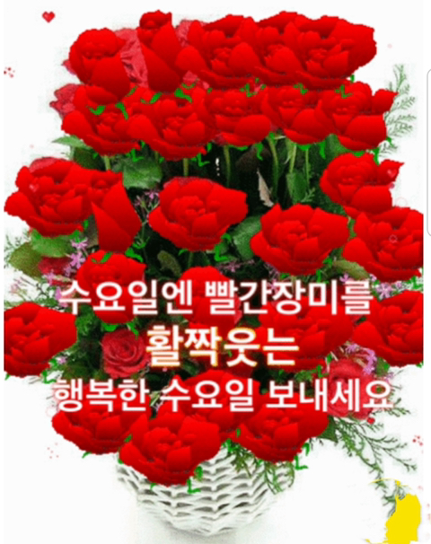 소은 이미지