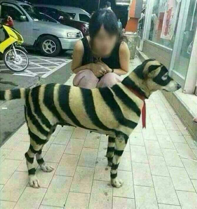 나누 이미지