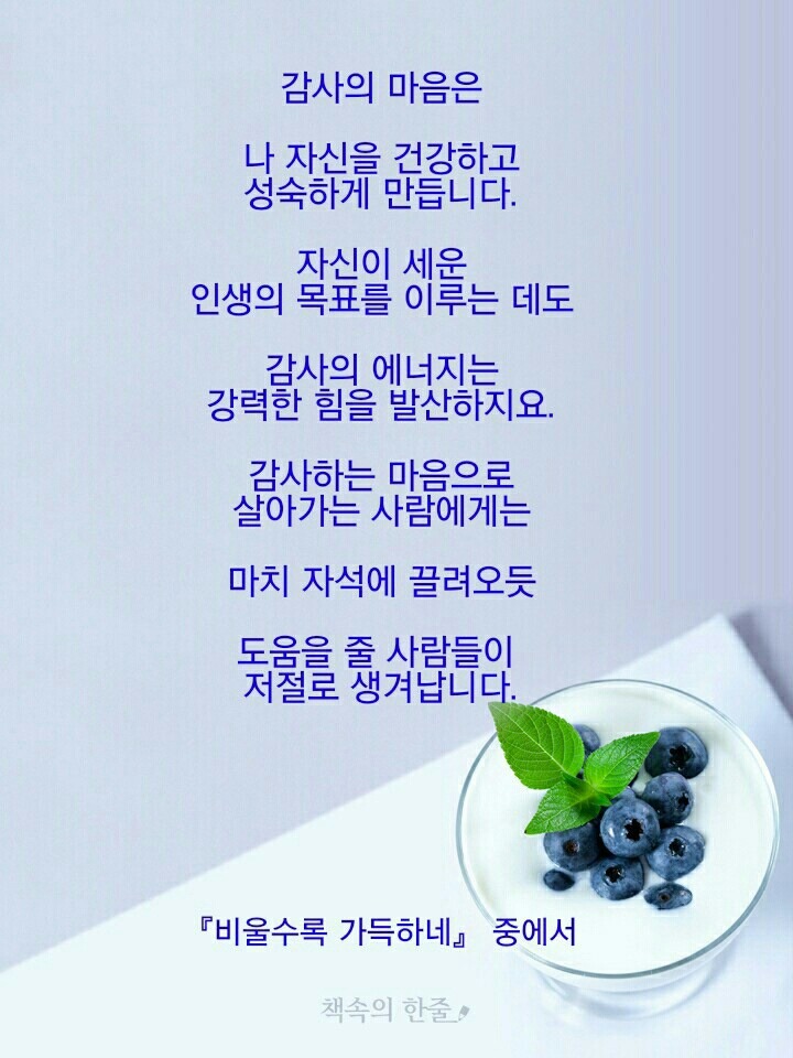 사랑님 이미지