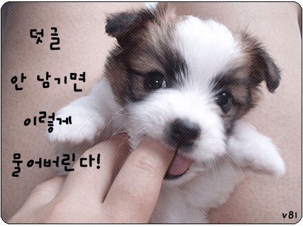 같이 이미지