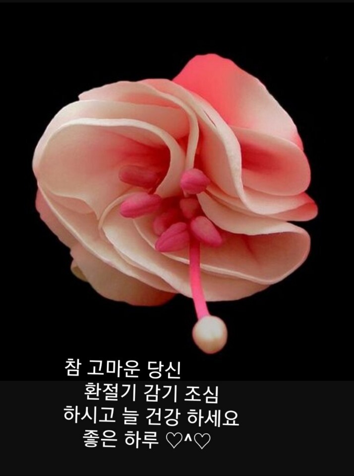 방가방방 이미지