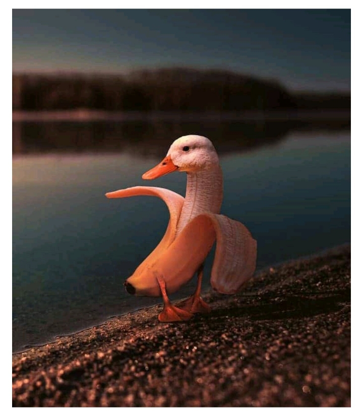 즐거운상상 이미지