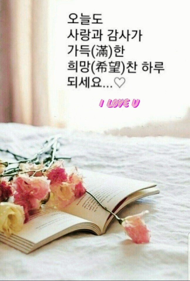 하늘바다 이미지