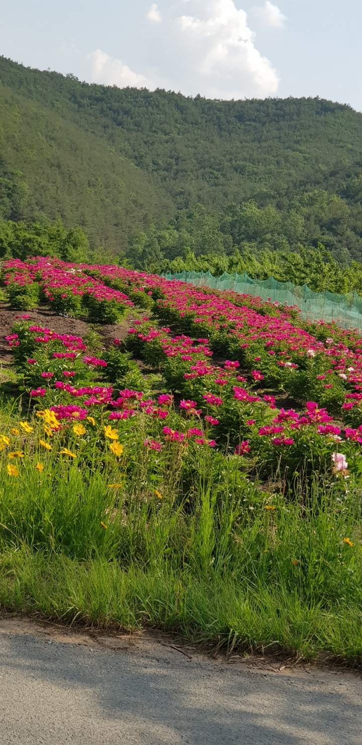 청송공방 이미지