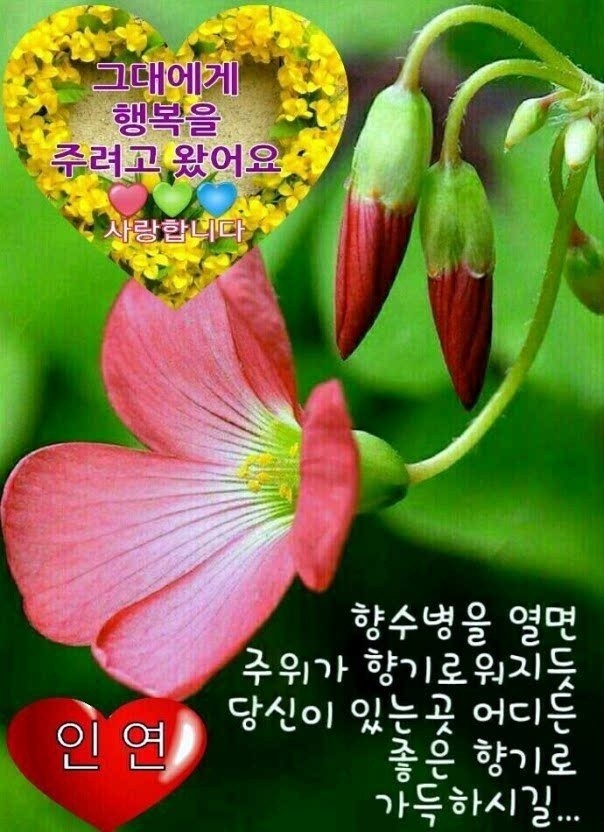멋진하루 이미지