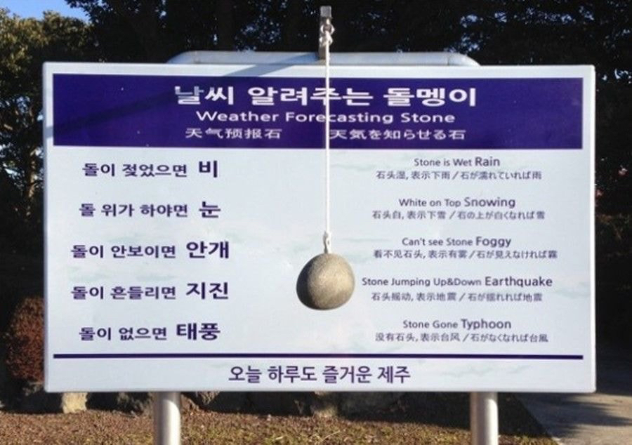 무사한지 궁금한 돌멩이 | 인스티즈