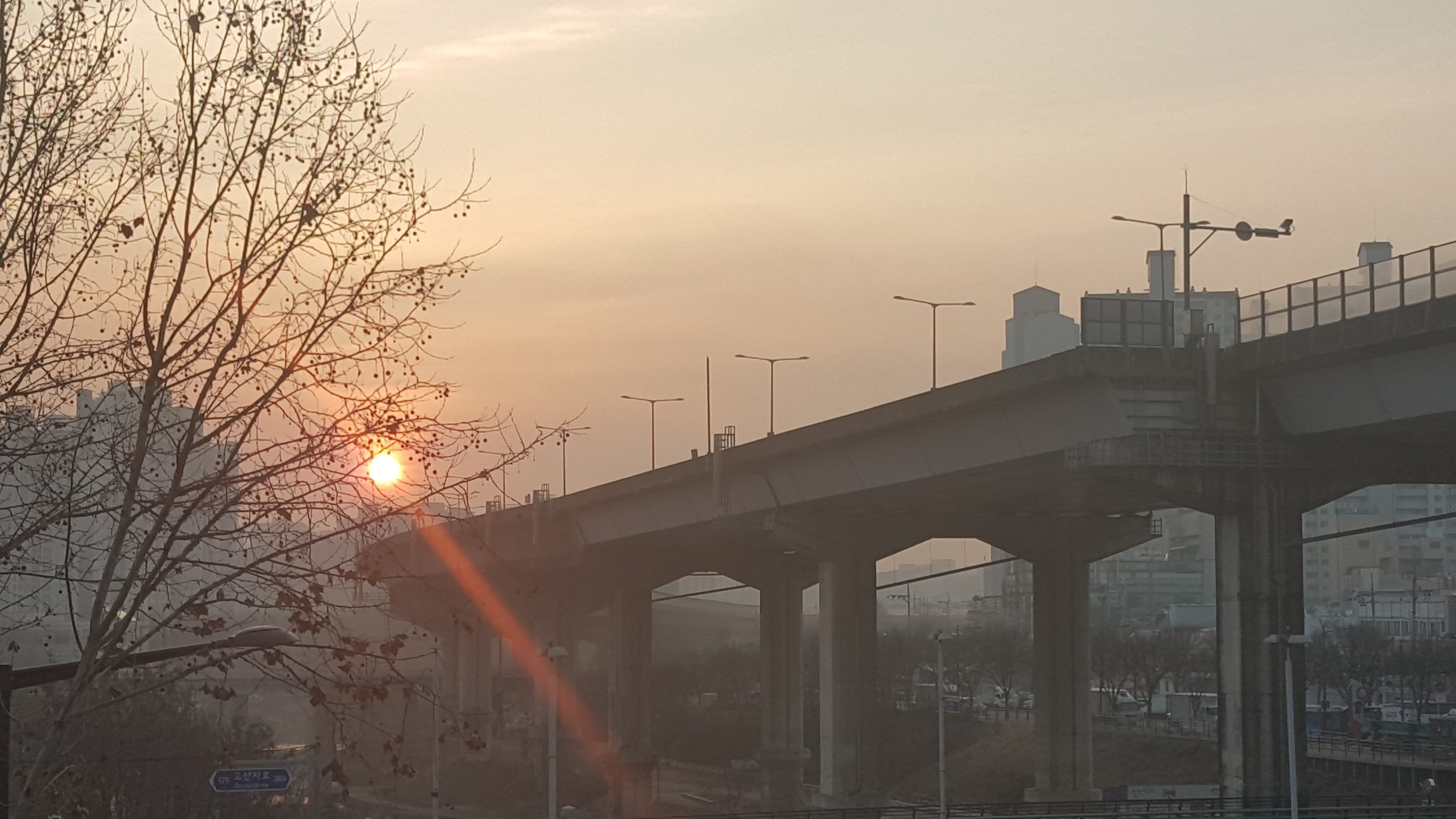 이머꼬 이미지