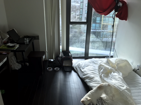 쉐어덴 이미지