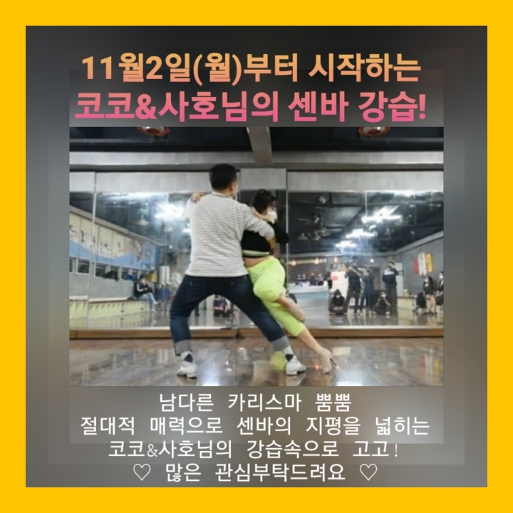 잔비어쓰 이미지