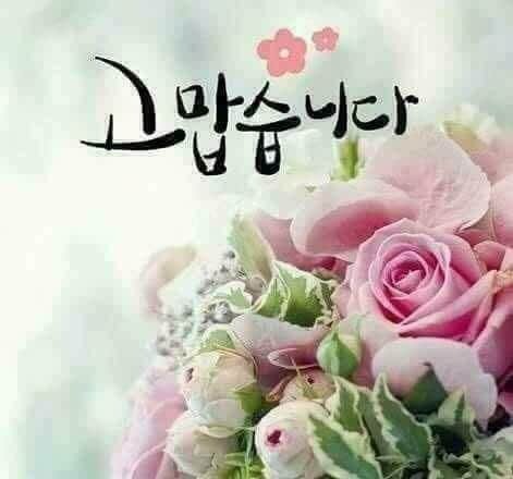 예공 이미지