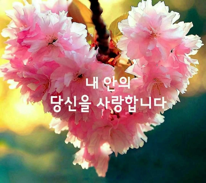토요일 이미지