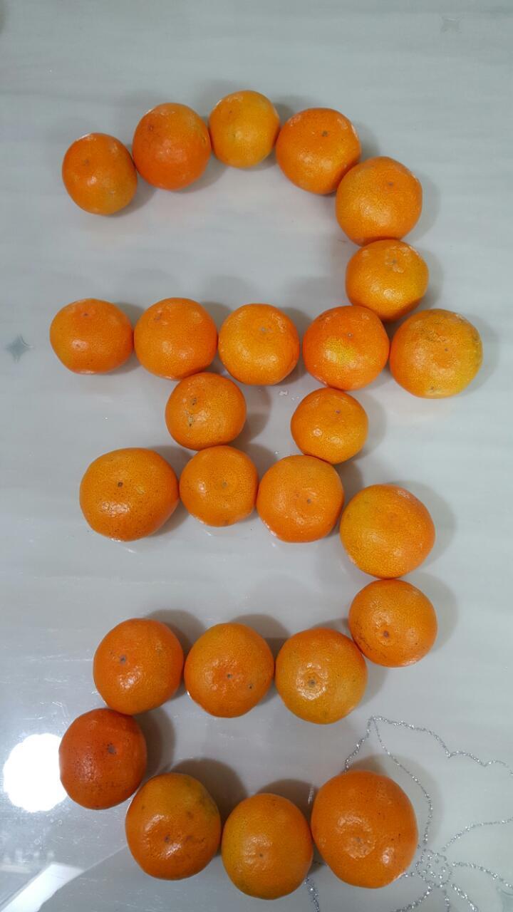 사랑농원 이미지