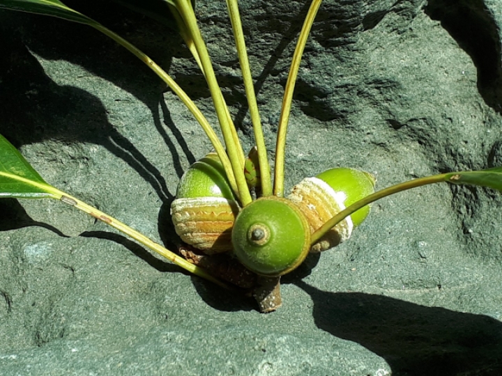 모임방 이미지