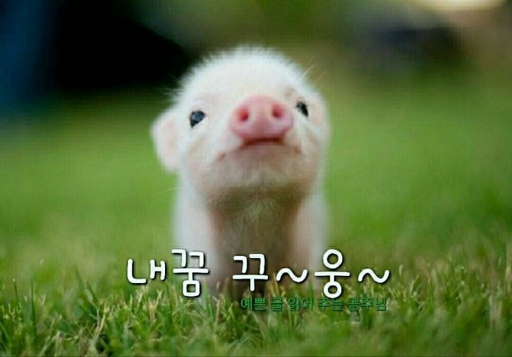 모임방 이미지