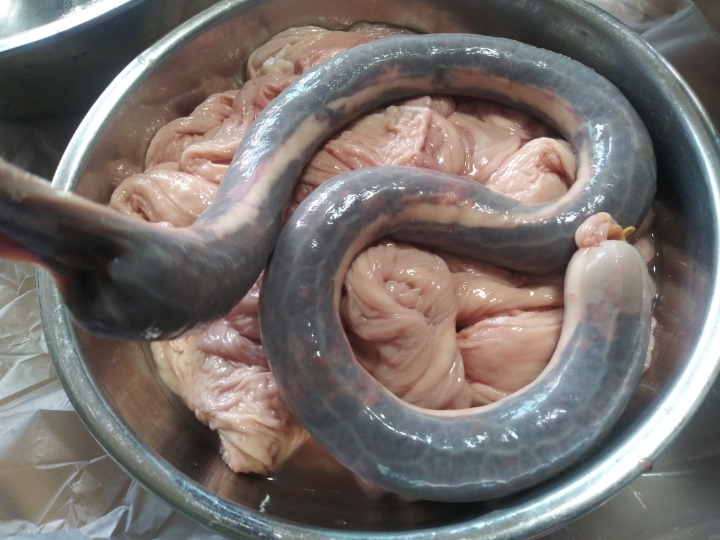 연변순대 이미지