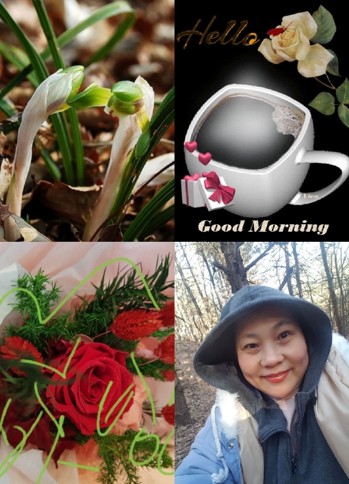 고기팜 이미지