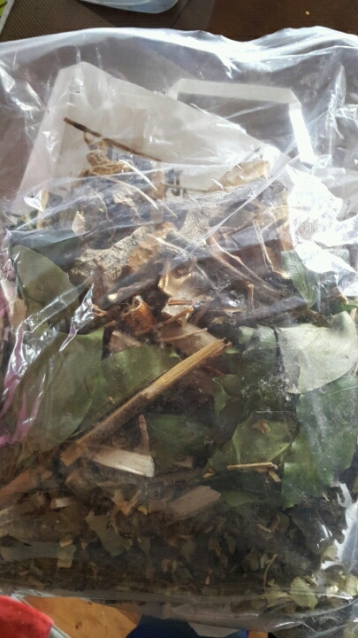 반주종생 이미지