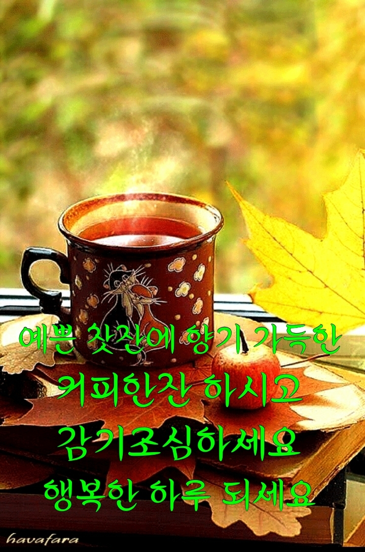 오늘은왠지 이미지