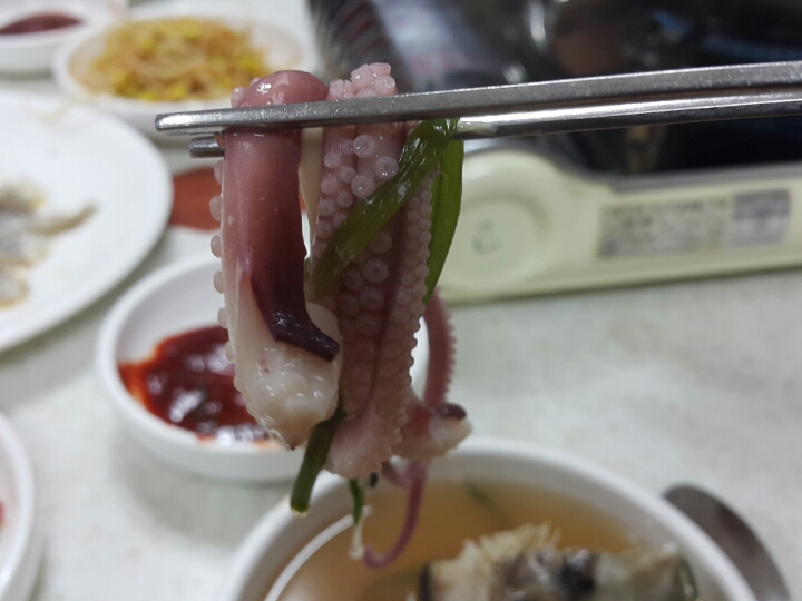 무안뻘낙지 이미지
