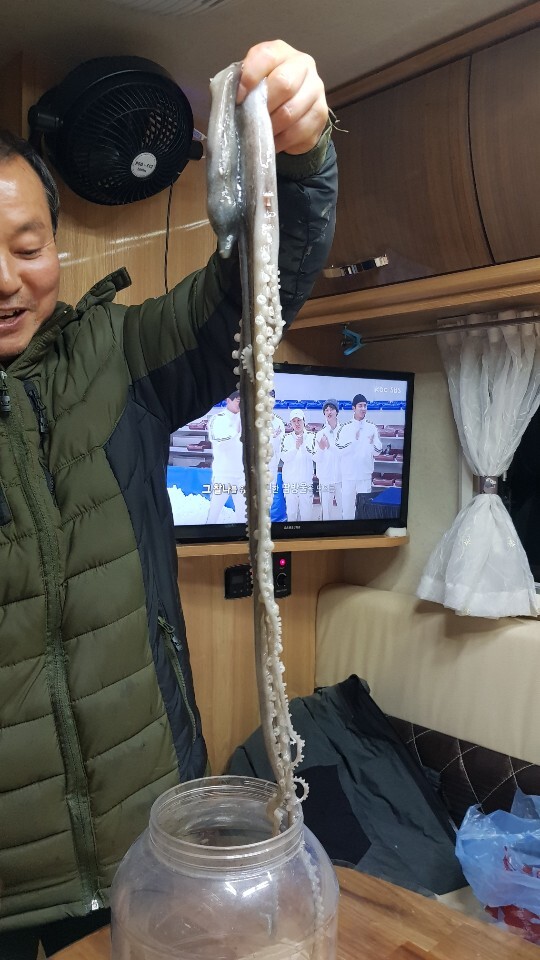 무안낙지 이미지