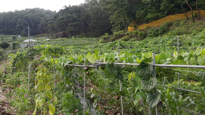 하늘과열매(주) 이미지