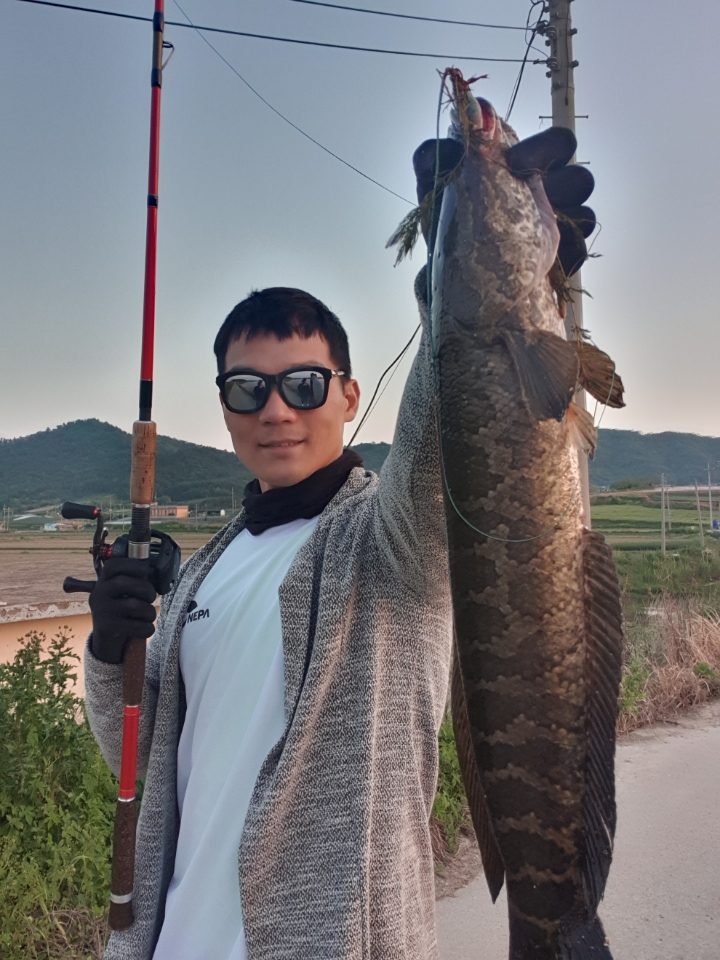 마수와 이미지