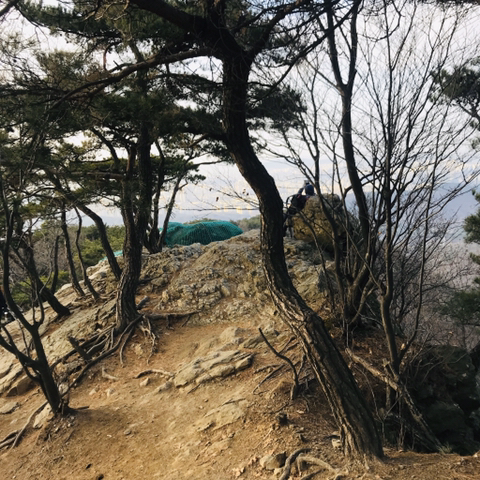 응봉 정상 이미지
