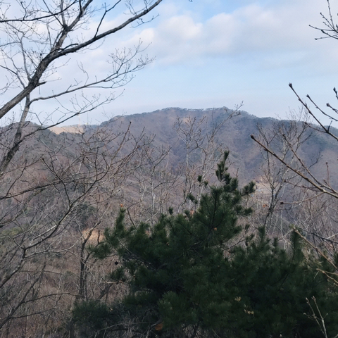 매봉초등학교 이미지