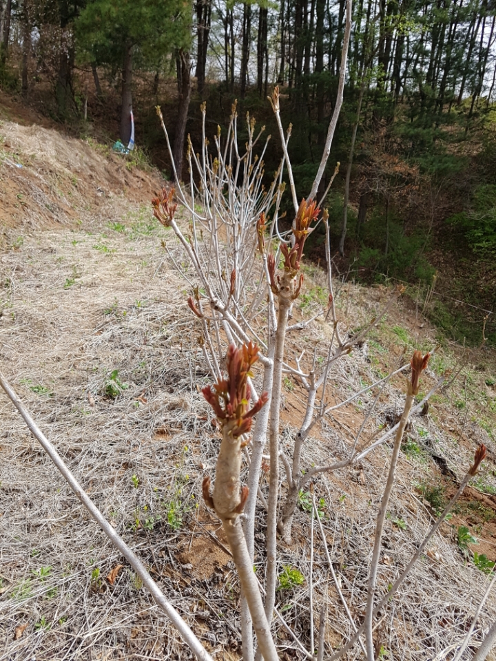 화천농기 이미지