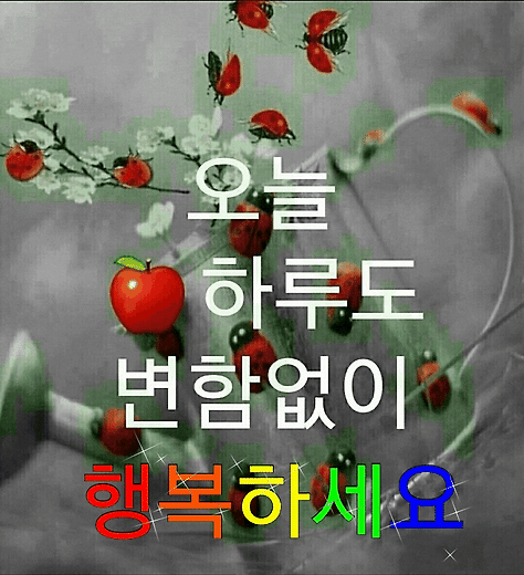 처녀이불가게 이미지