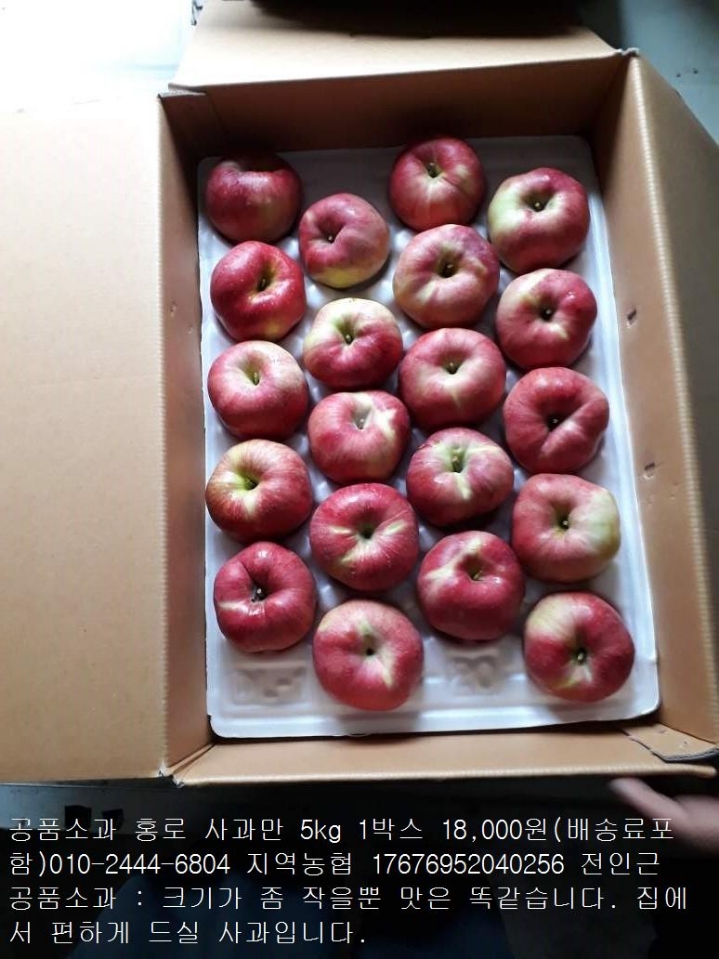 홍로 이미지