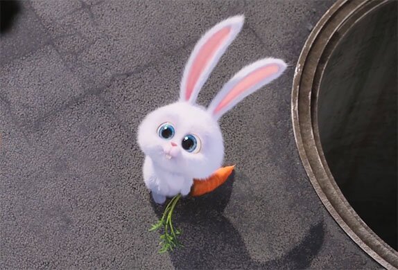 마이펫의 이중생활에서 핵귀여운 스노우볼.gif | 인스티즈