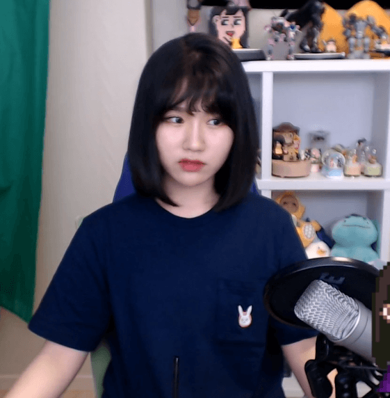 자신이 생각하는 여스트리머 비주얼 탑은? | 인스티즈