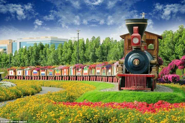 두바이의 미라클가든 | 인스티즈