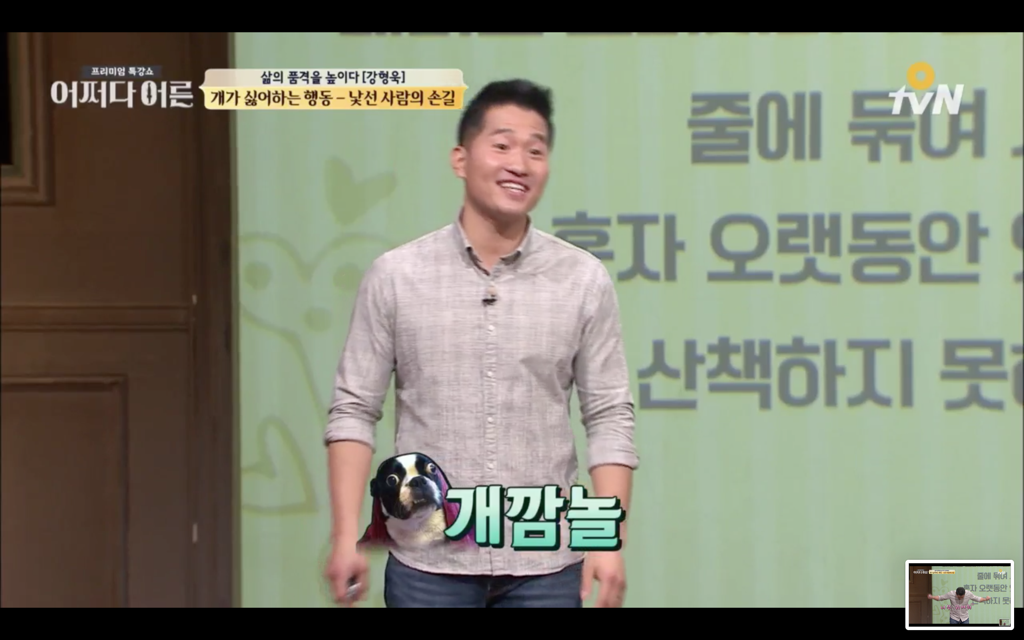 지나가다 귀여운 댕댕이를 볼때 어떻게 반응해야하나 | 인스티즈