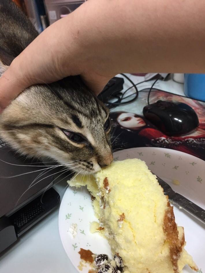 ???: 야야 그거 한입 먹는다고 죽냐 ㅋㅋㅋ | 인스티즈