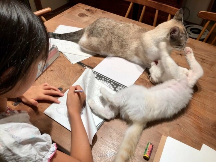 색칠공부에 집중 할 수 없는 이유 | 인스티즈