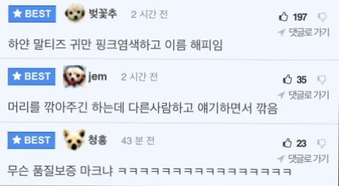 걸려야하는 미용실 특징 | 인스티즈