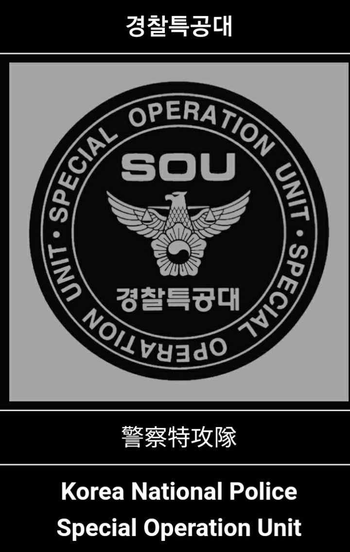 대한민국 특수부대 list | 인스티즈