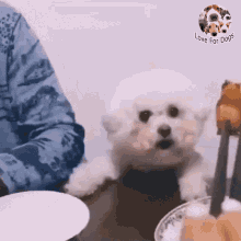 ???: 야야 그거 한입 먹는다고 죽냐 ㅋㅋㅋ | 인스티즈