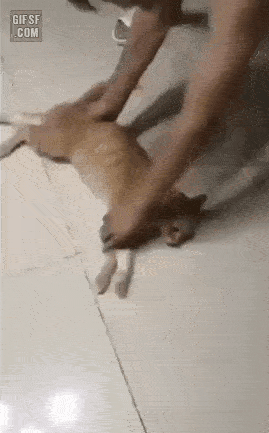 주인님 그거하자 그거 | 인스티즈